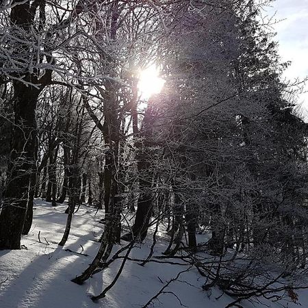 L'Ideal Gérardmer Eksteriør bilde